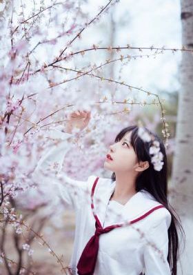 为涟苍士净土献上纯洁
